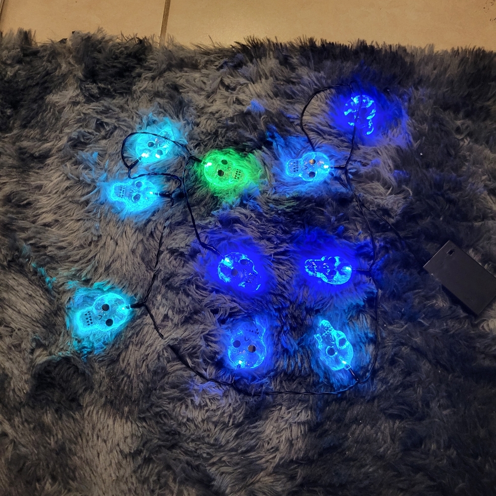 Skull String Lights with Battery Pack Color Changing